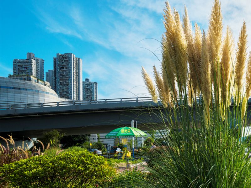 沱江二橋加寬改造工程附屬景觀建設項目